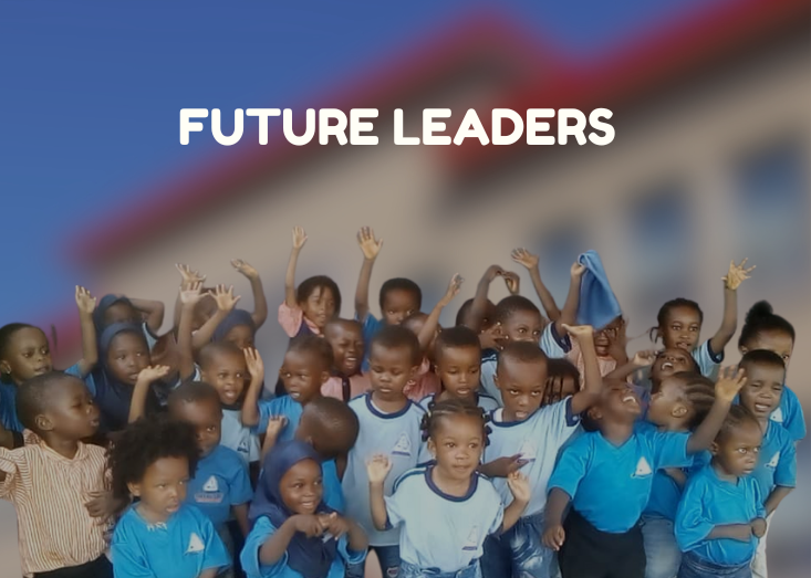 tms slide 733 x 767 px 7